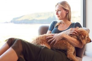 woman sits by a window holding a dog after finding peace in trauma therapy in Burke, VA with Nova Terra Therapy 22015